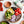 Load image into Gallery viewer, Organic Sorghum Penne