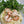 Load image into Gallery viewer, Organic Instant White Sorghum Flakes