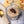 Load image into Gallery viewer, Chestnut Puree
