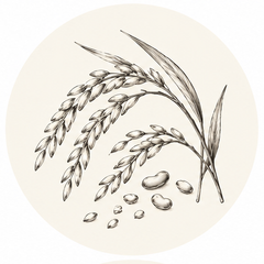 Grains & Beans
