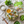 Load image into Gallery viewer, Organic Fensi Vermicelli
