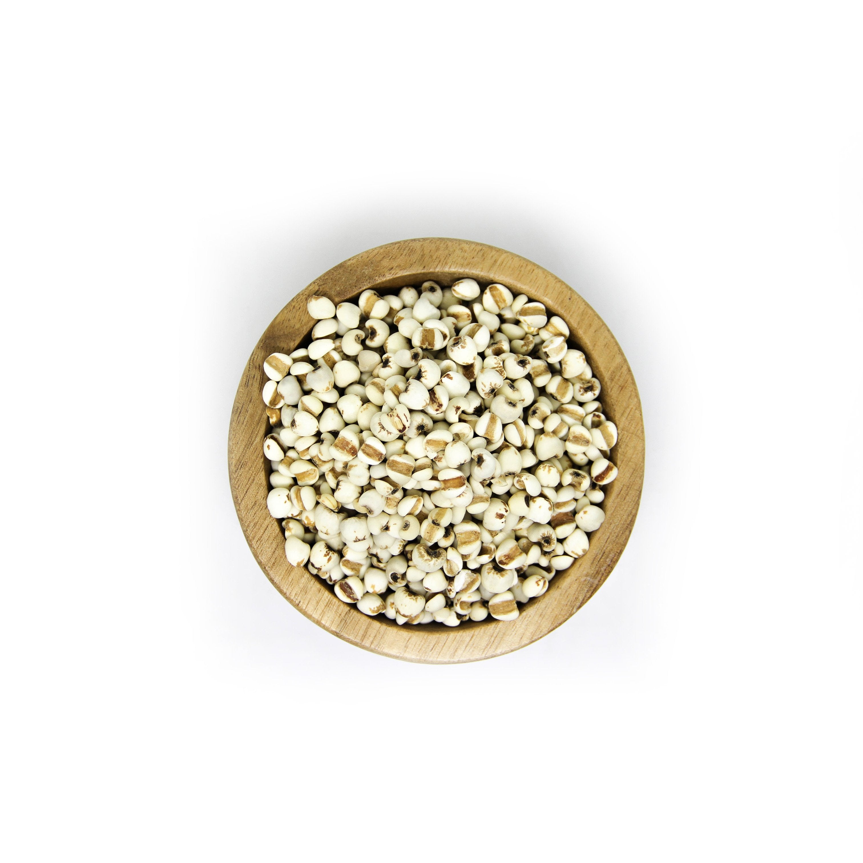 coix seed plant Organic Coix Seed, 10.5oz – Big Green Organic Food